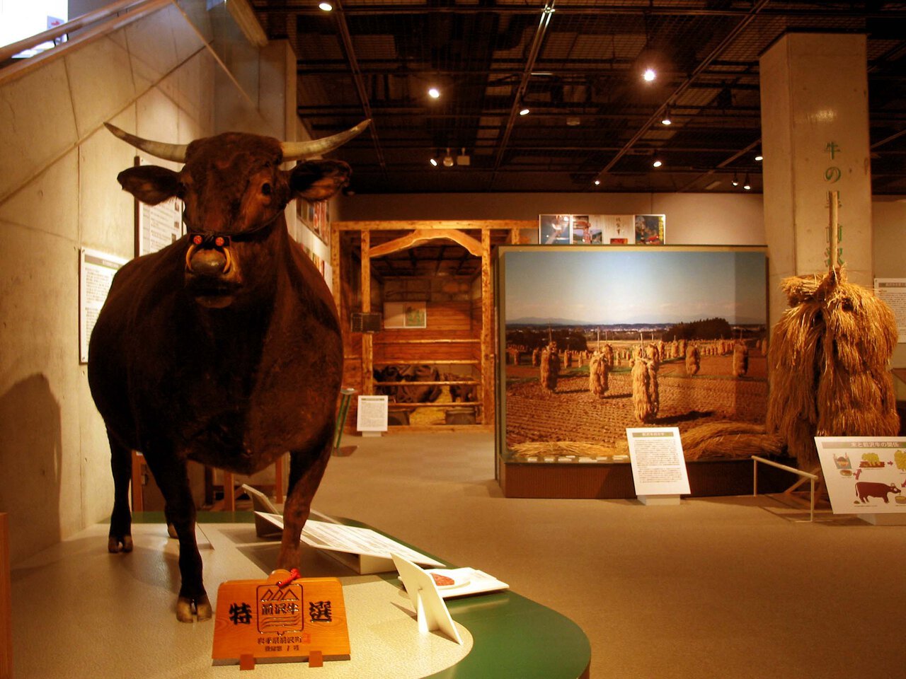 🐂 오슈시 소 박물관 (오슈시 우시노하쿠부츠칸)